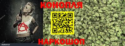 сатива Кулебаки