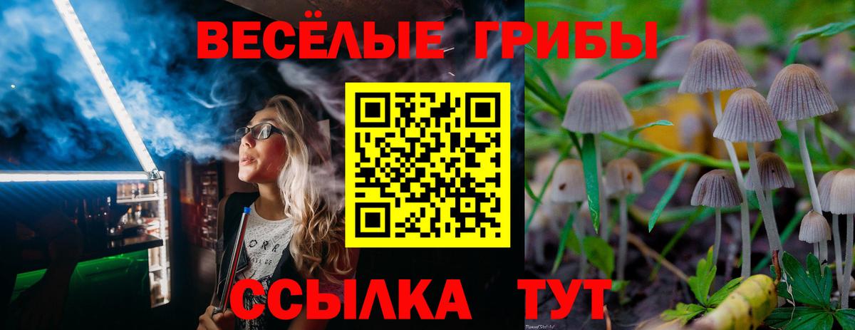 Галлюциногенные грибы Magic Shrooms Камышин